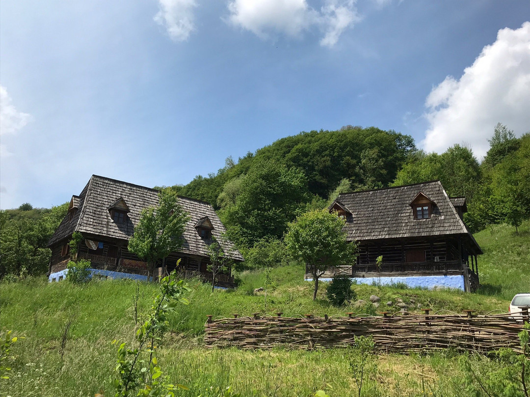 Amizadil House Maramures主图