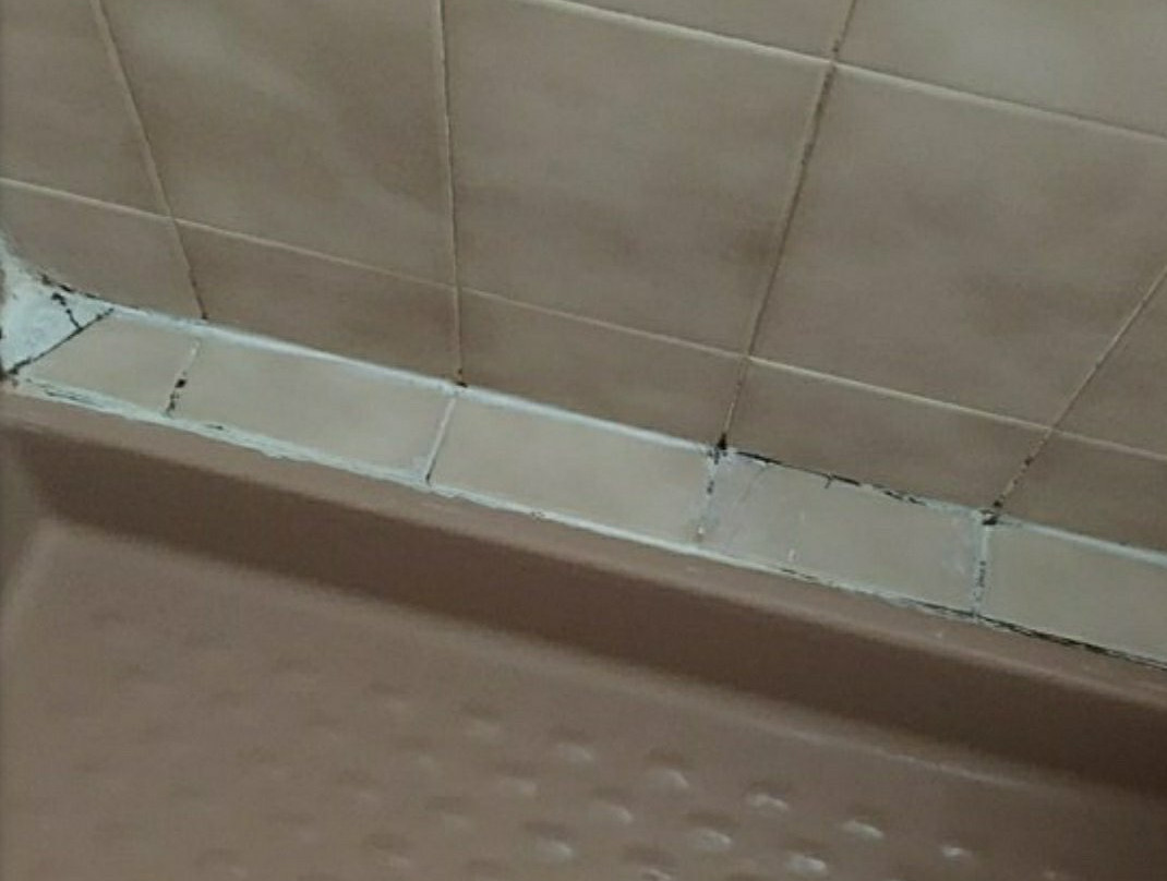 Logis Normandy Hotel主图