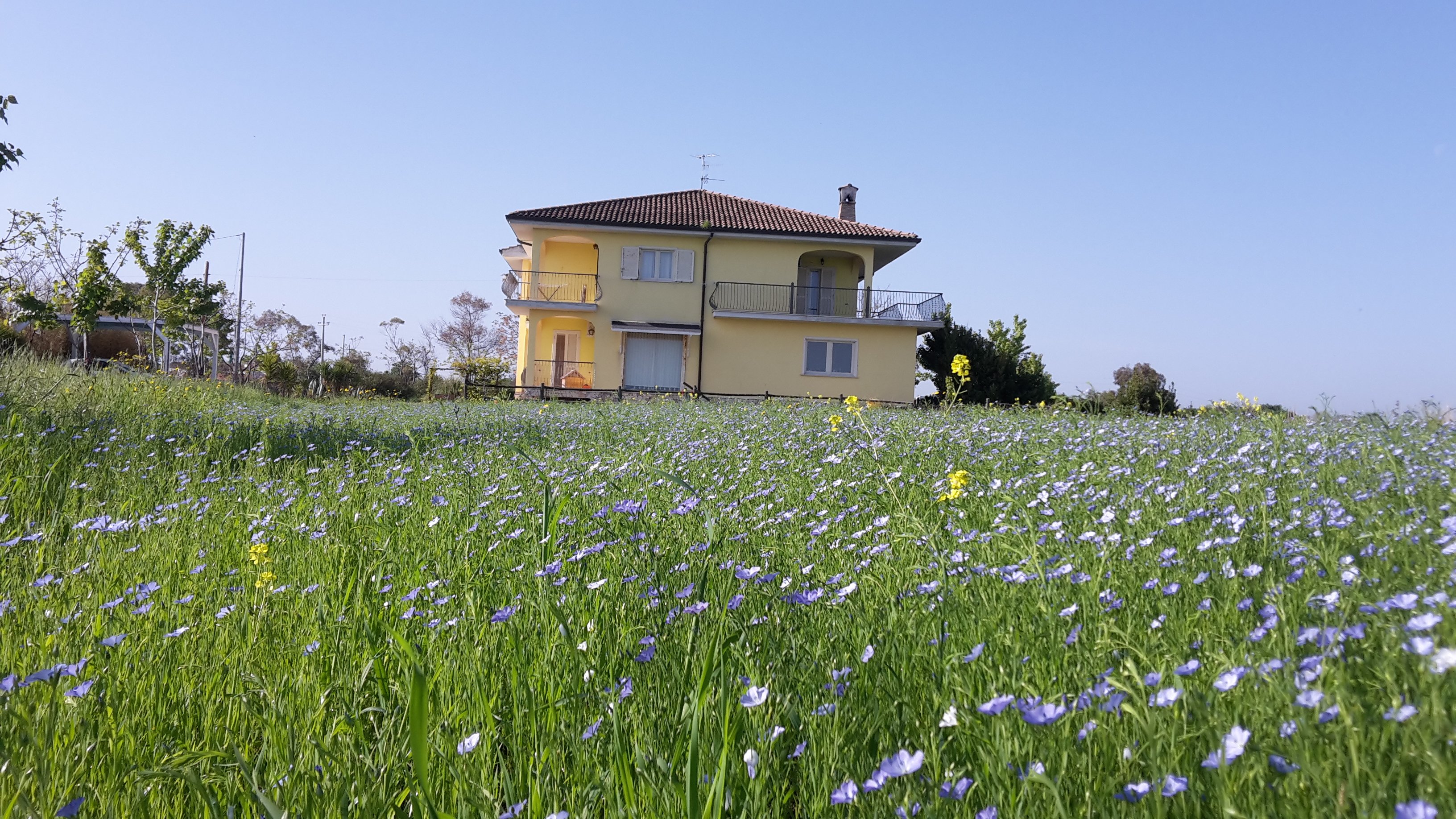 Villa Marianna-官方
