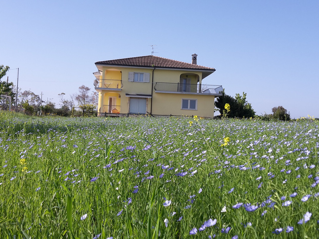 Lido di Casalbordino旅游攻略图片