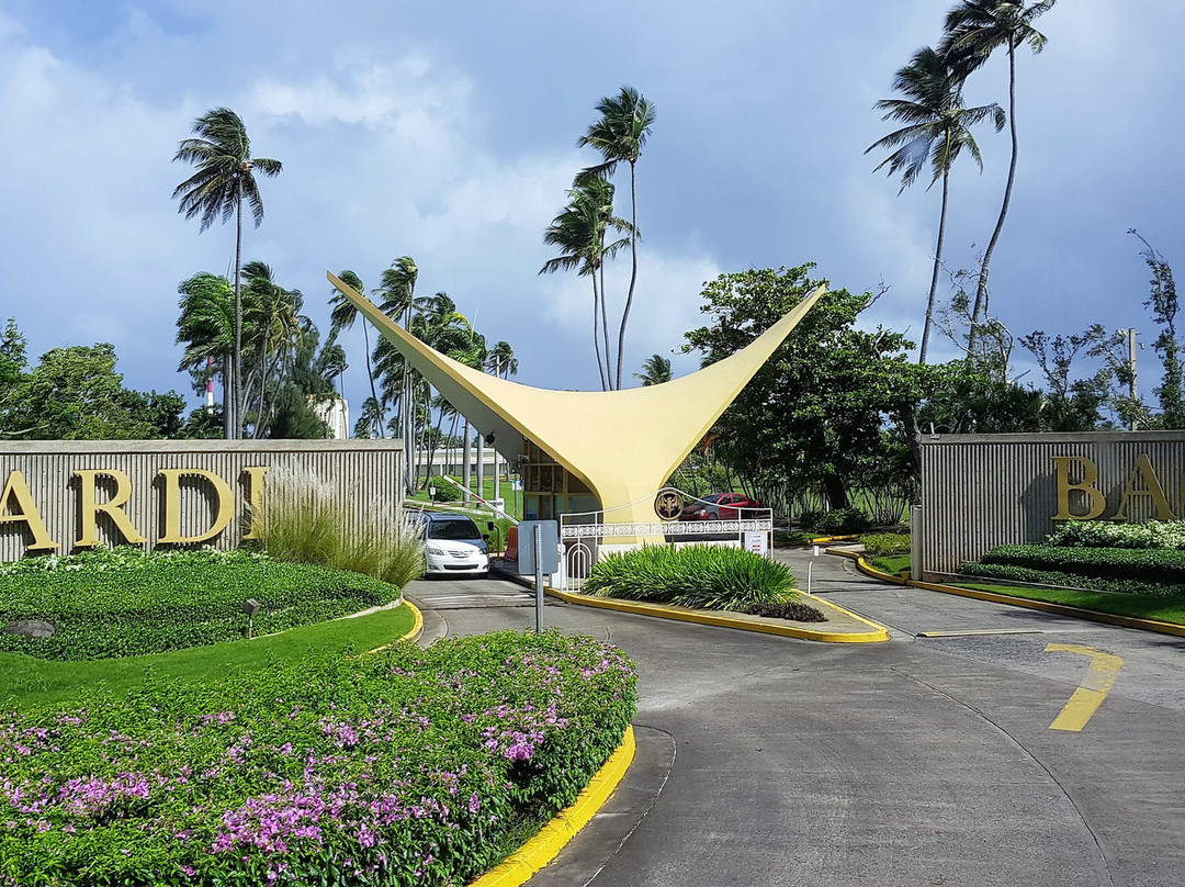 百家得朗姆酒场-Catano必去景点