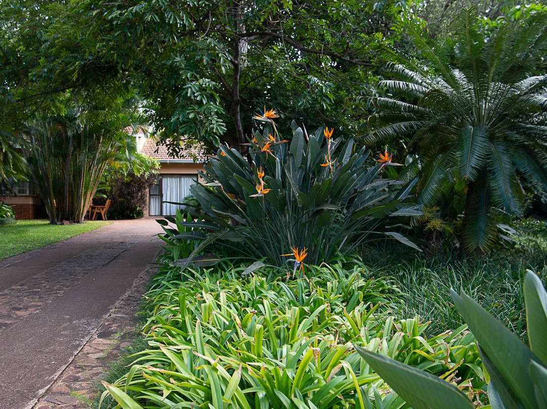 Selati 103 Guest Cottages主图