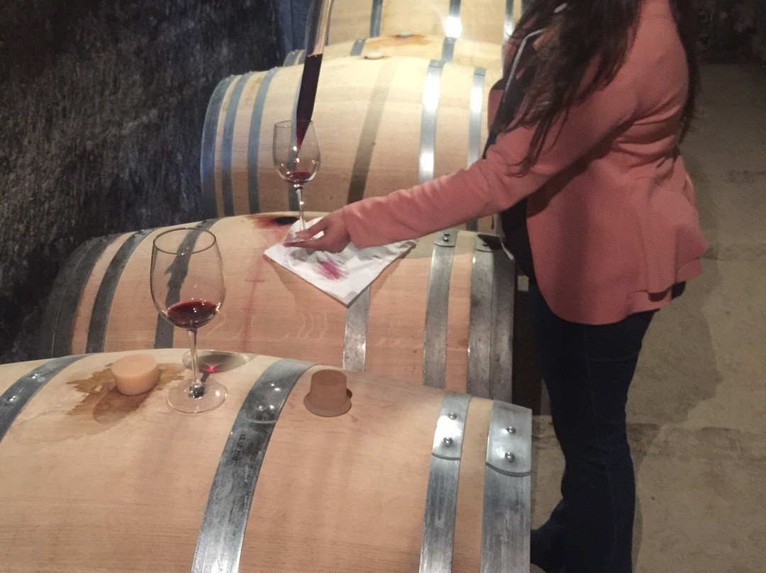 Rioja Wine Tours-洛格罗尼奥必去景点