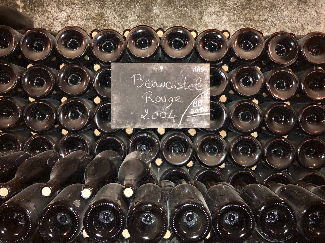 Chateau de Beaucastel景点图片