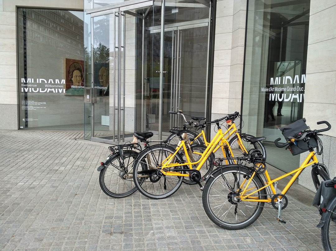 FEEL! Bike Tours-卢森堡城必去景点