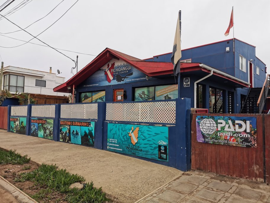 Buceo Pichidangui Dive Center