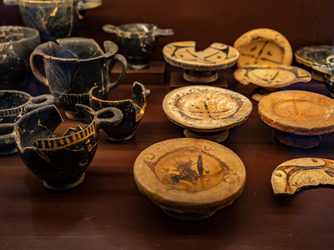 Museo Etrusco Di Populonia景点图片