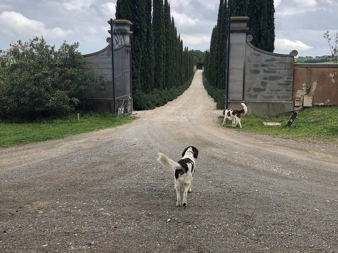 Villa Loggio主图