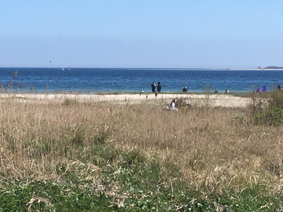 Falckensteiner Strand景点图片