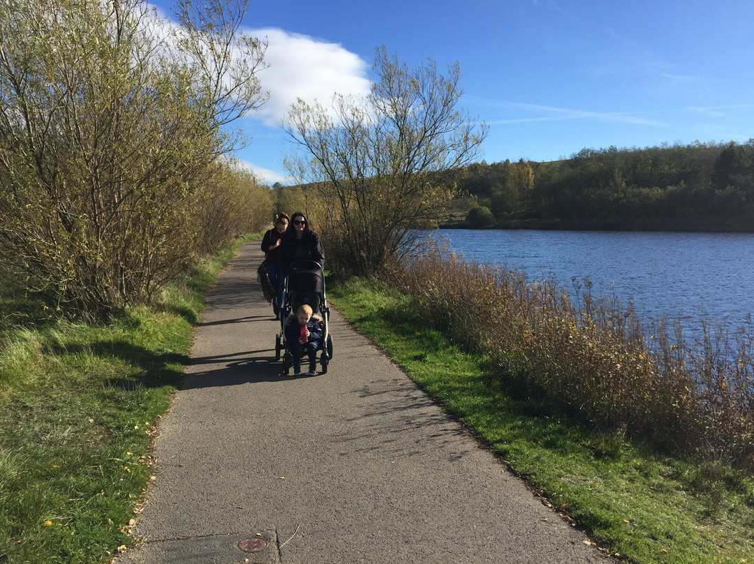 Parc Bryn Bach景点图片