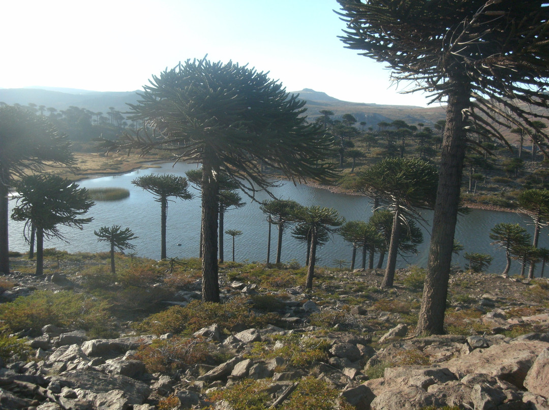 Laguna Escondida景点图片