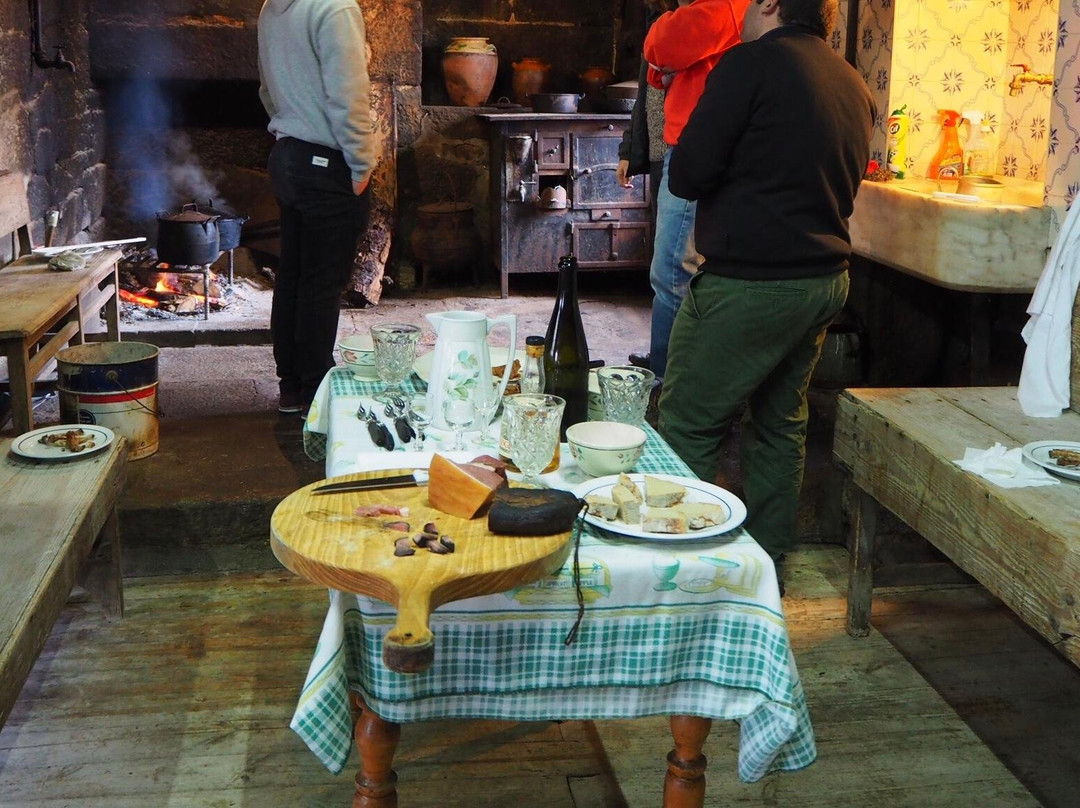 Amass. Cook. Food Tours-波尔图必去景点