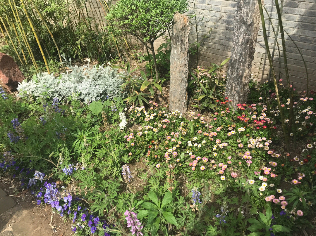 华祖庵-涡阳县必去景点