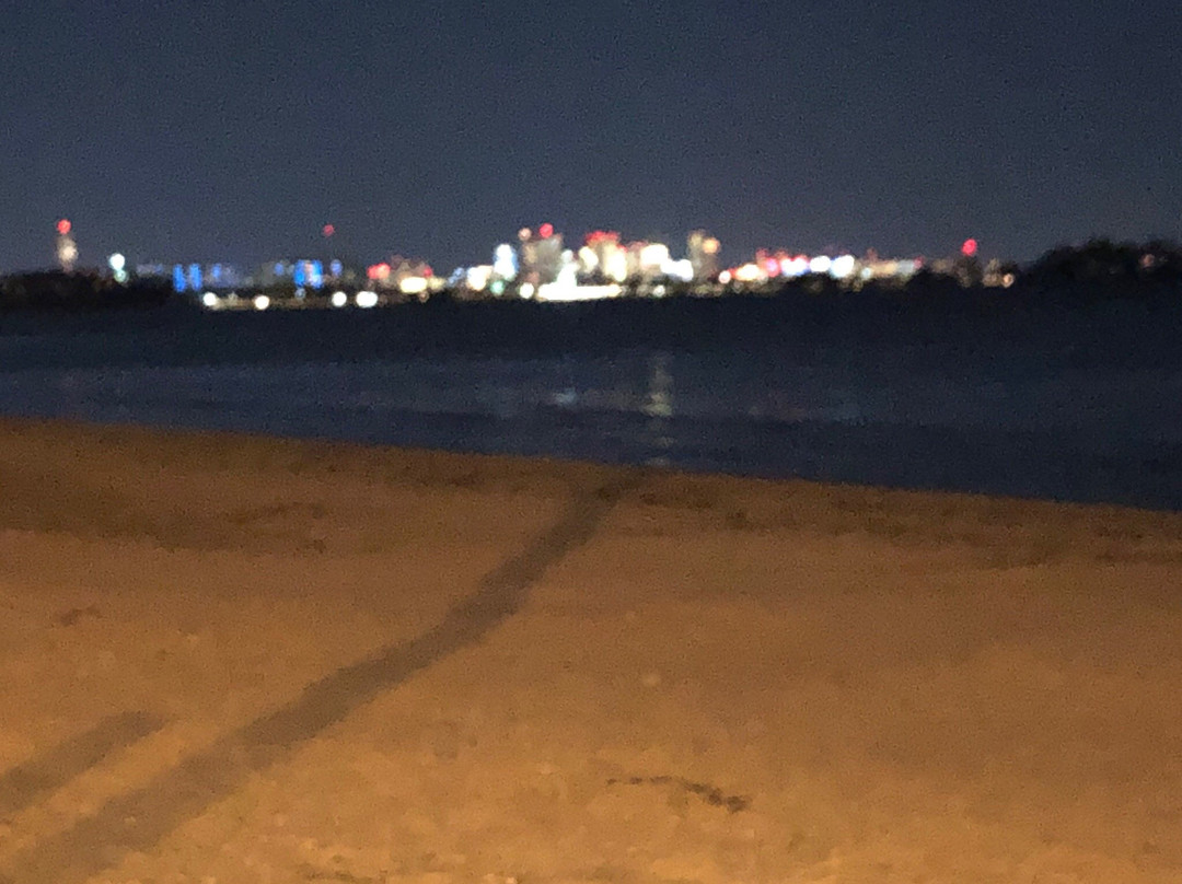 Wollaston Beach-昆西必去景点