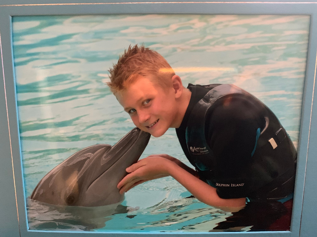 海豚岛-圣淘沙岛必去景点