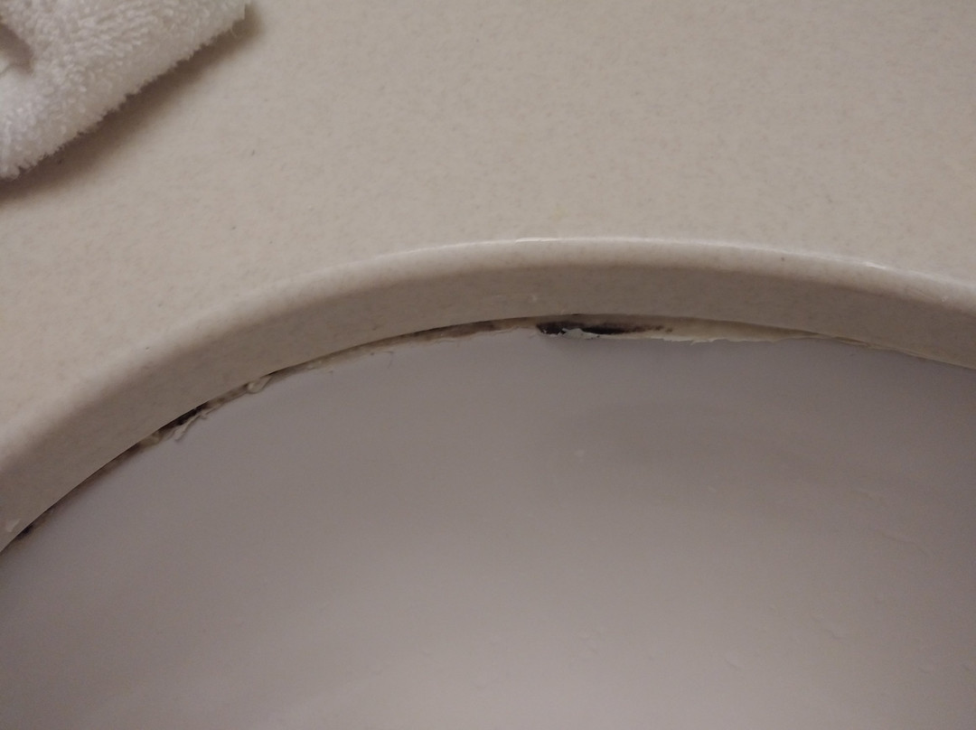 阿尔巴尼纽约州立大学（SUNY）戴斯酒店主图