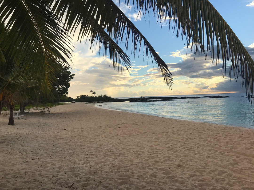 Falealupo Beach Fales主图