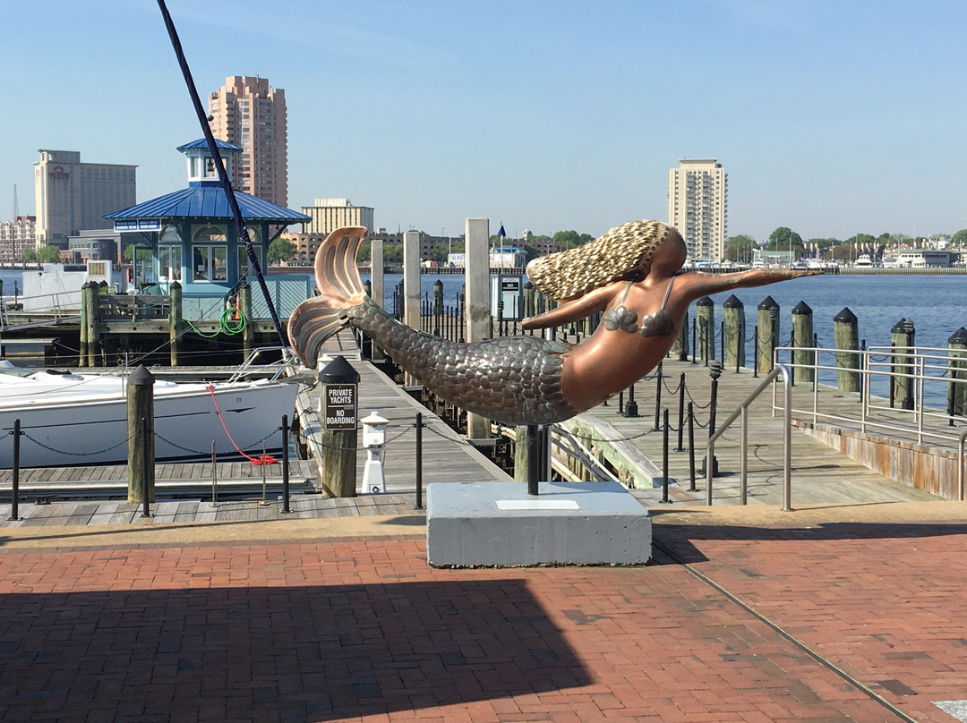 Town Point Park-诺福克必去景点