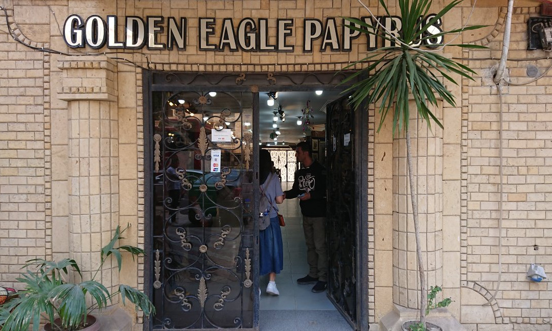 Golden Eagle Papyrus