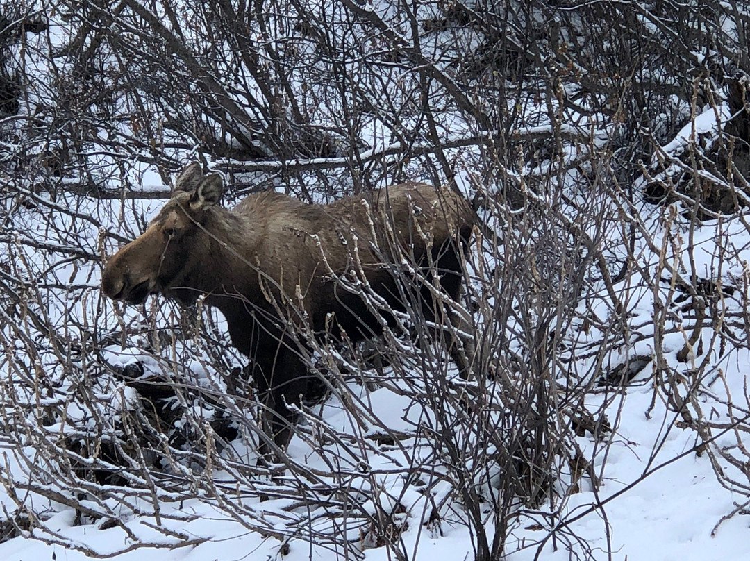 A Goldenview Bed and Breakfast主图