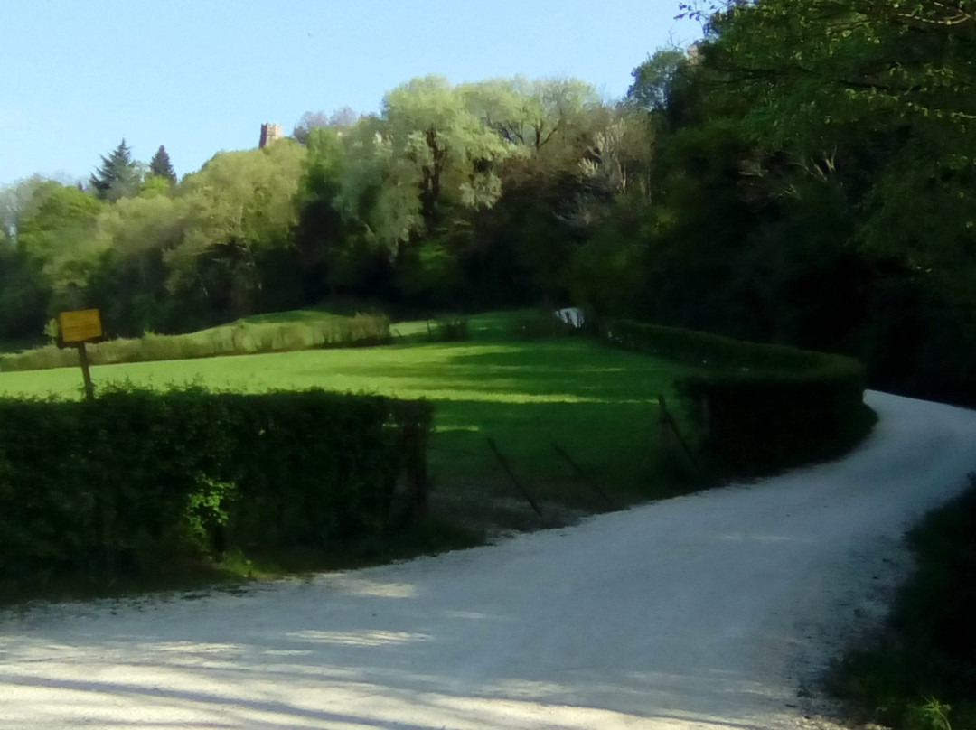 Castello San Salvatore景点图片