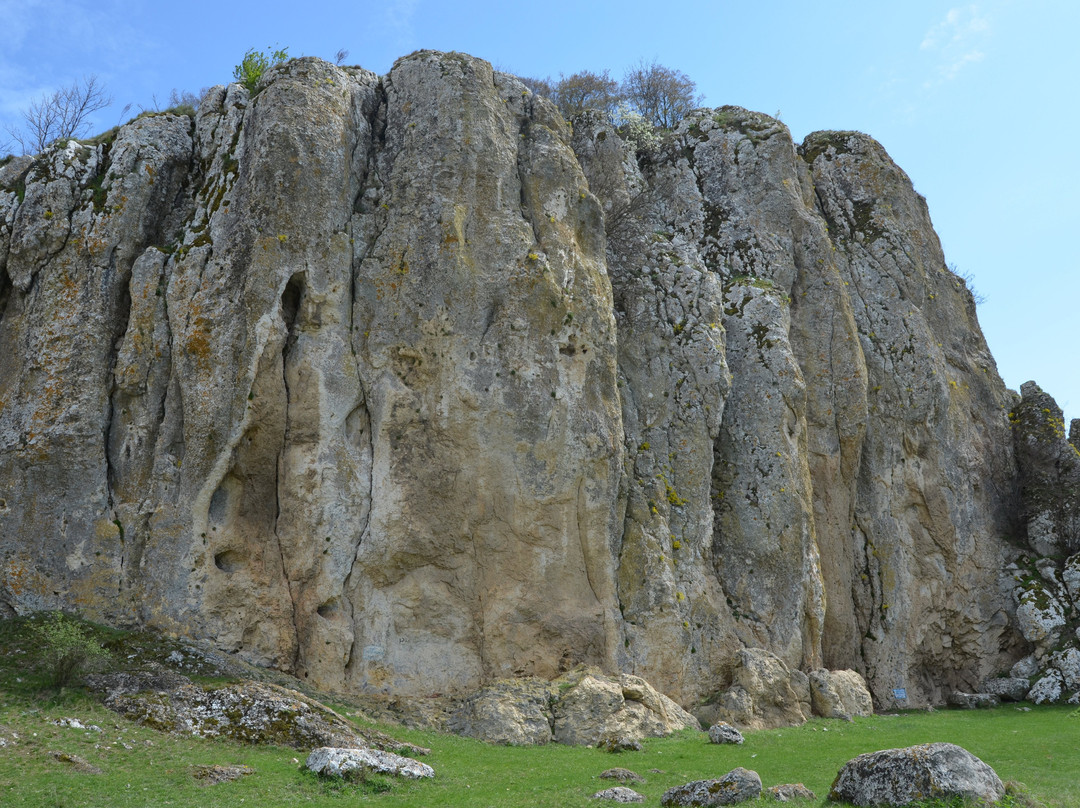 Dobrogea Gorges Reserve景点图片