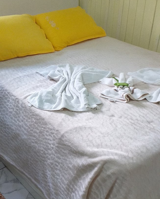 Pousada Pinheiral主图