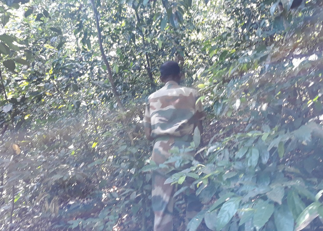 Shenduruny Wildlife Sanctuary-科兰必去景点