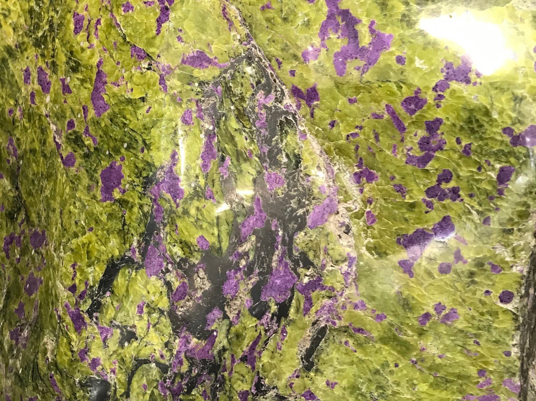 Zeehan Rock Shop-Zeehan必去景点