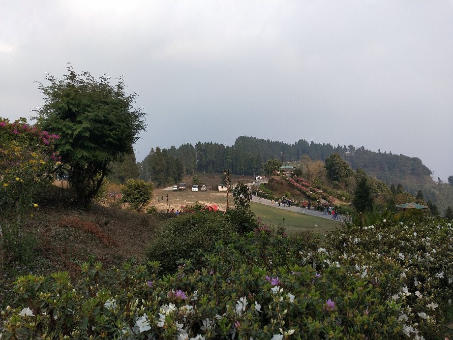 Delo Park-噶伦堡必去景点