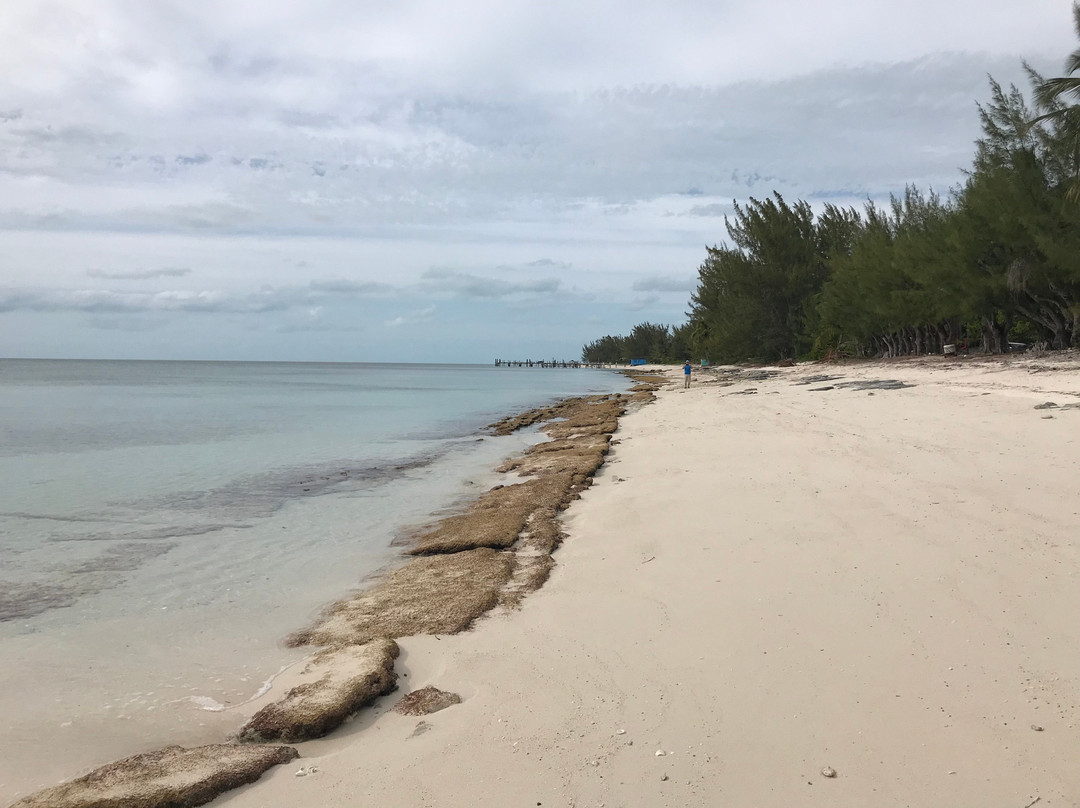 Sandy Point景点图片