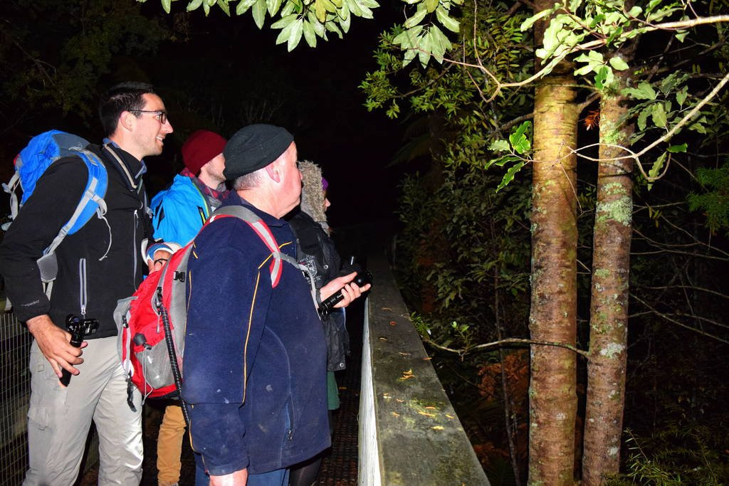 Kauri Coast TOP 10 Holiday Park-达格维尔必去景点