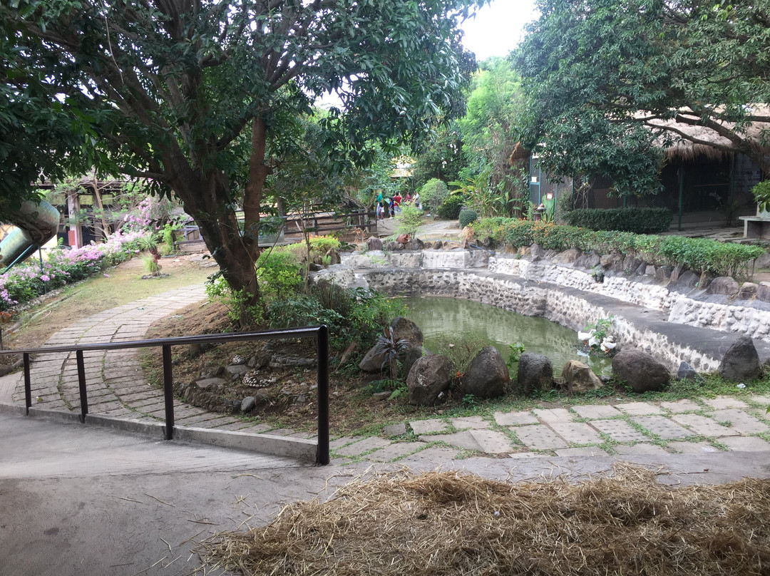 Zoocobia Fun Zoo景点图片