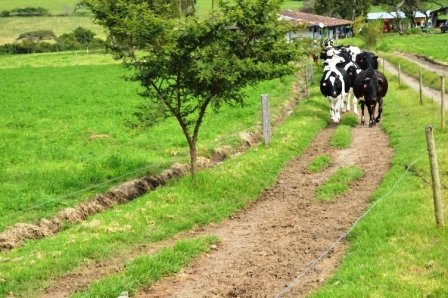 Hacienda San Francisco主图