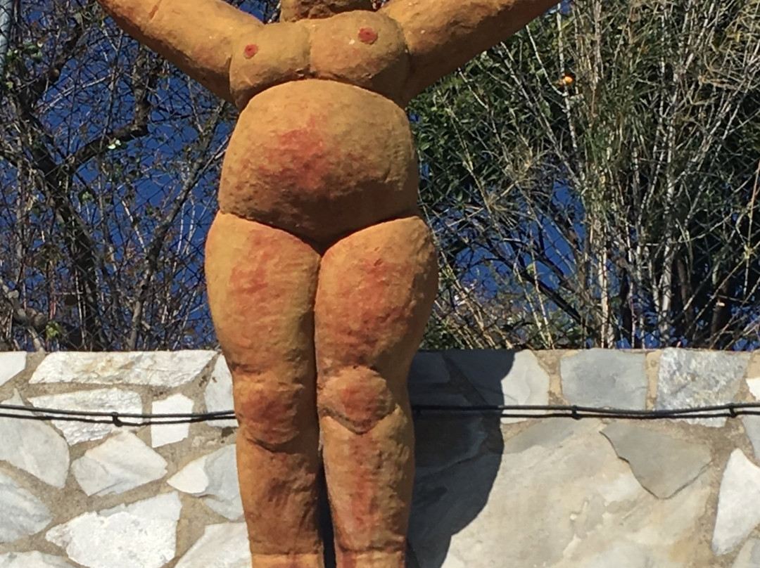 Museo de Arte Contemporaneo景点图片