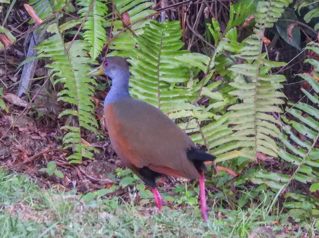 Hotel Mamma e Papa主图