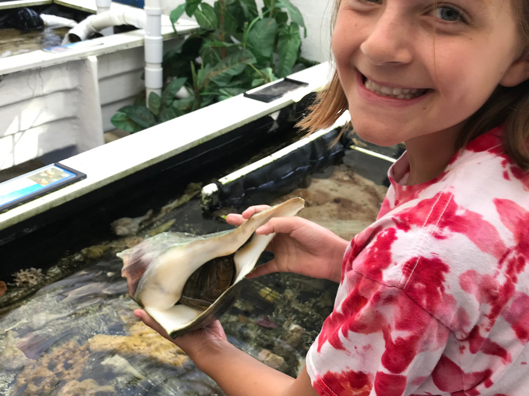 Gulf Specimen Marine Lab & Aquarium-Panacea必去景点