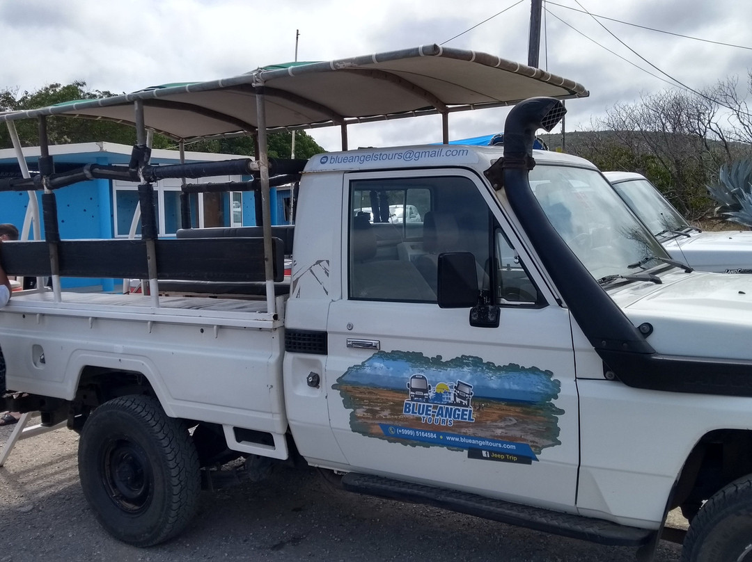 Blue Angel Tours-Sint Willibrordus必去景点