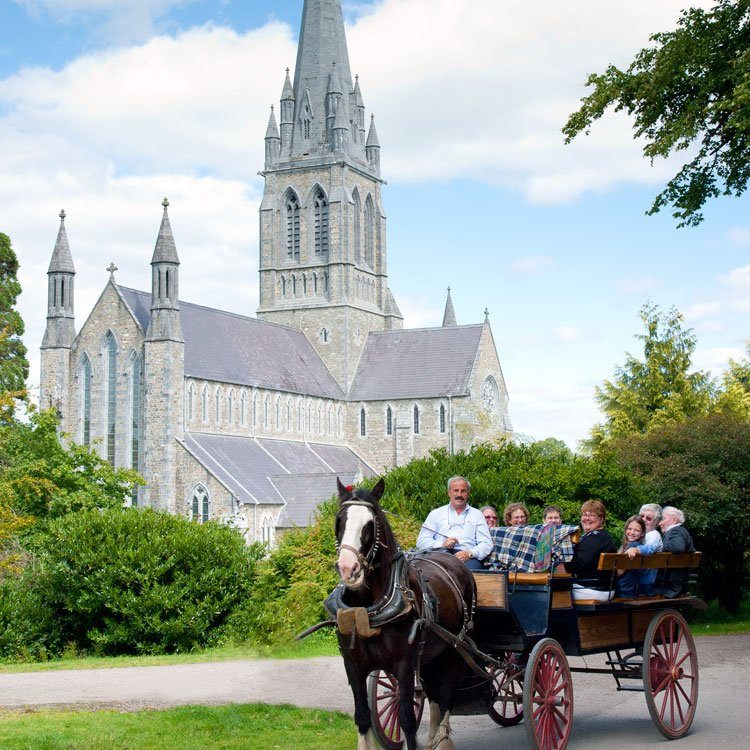 Mid Kerry Cabs & Tours Ltd景点图片