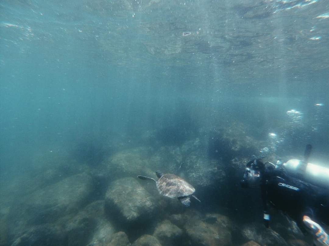 By Fish Mergulho-Dive Center-阿拉伊阿尔港必去景点