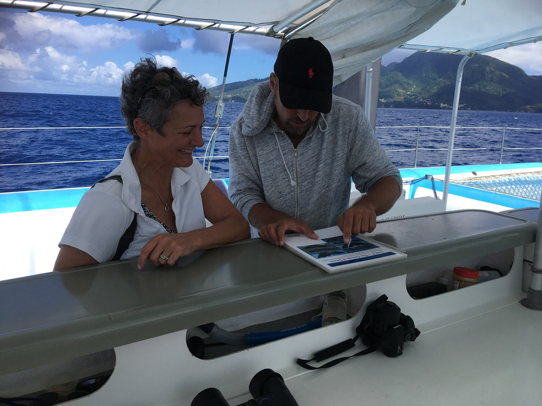 Anchorage Hotel Whale Watching-罗索必去景点