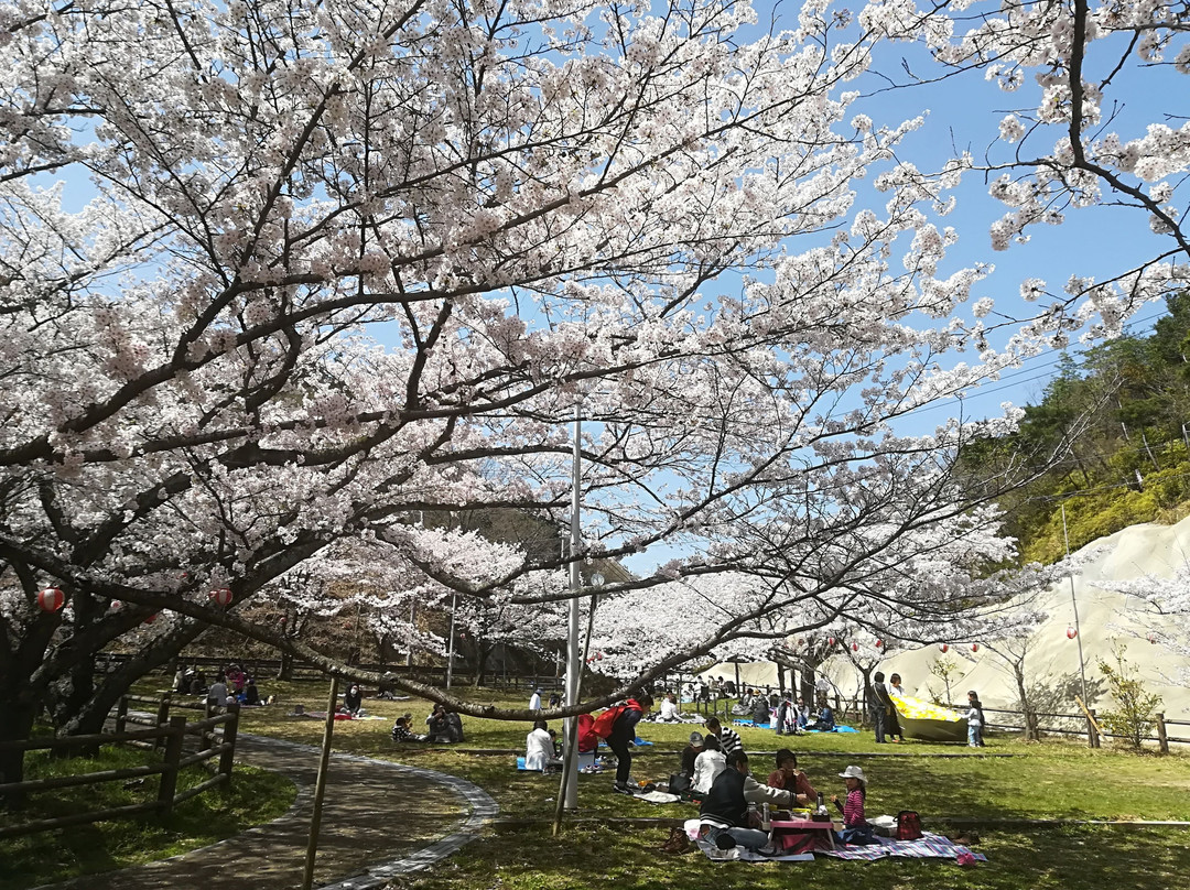 Okuyama Ameyama Nature Park景点图片