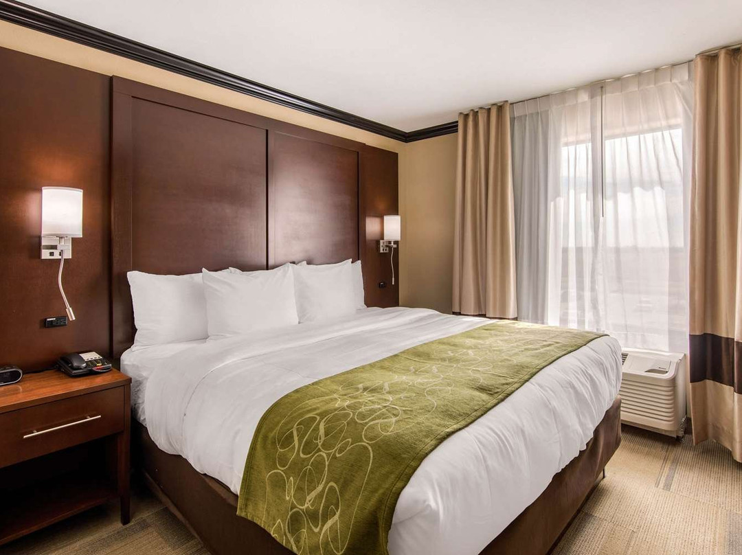 Comfort Suites主图