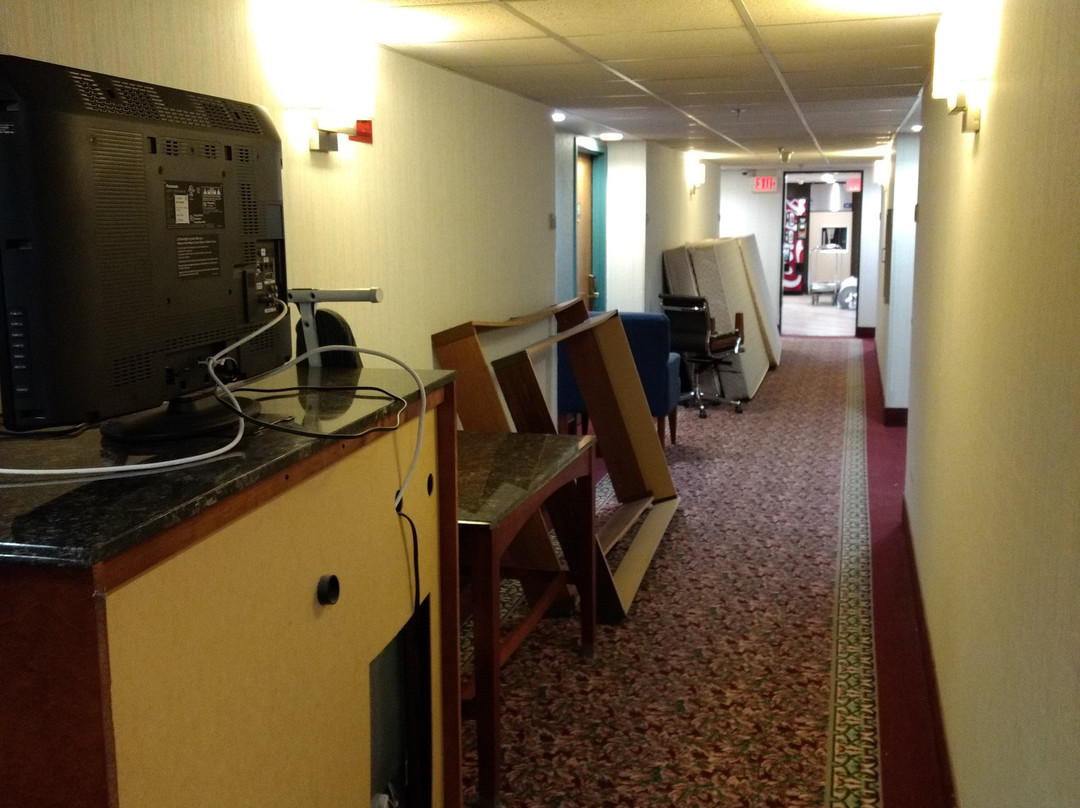 Comfort Inn Virginia Horse Center主图