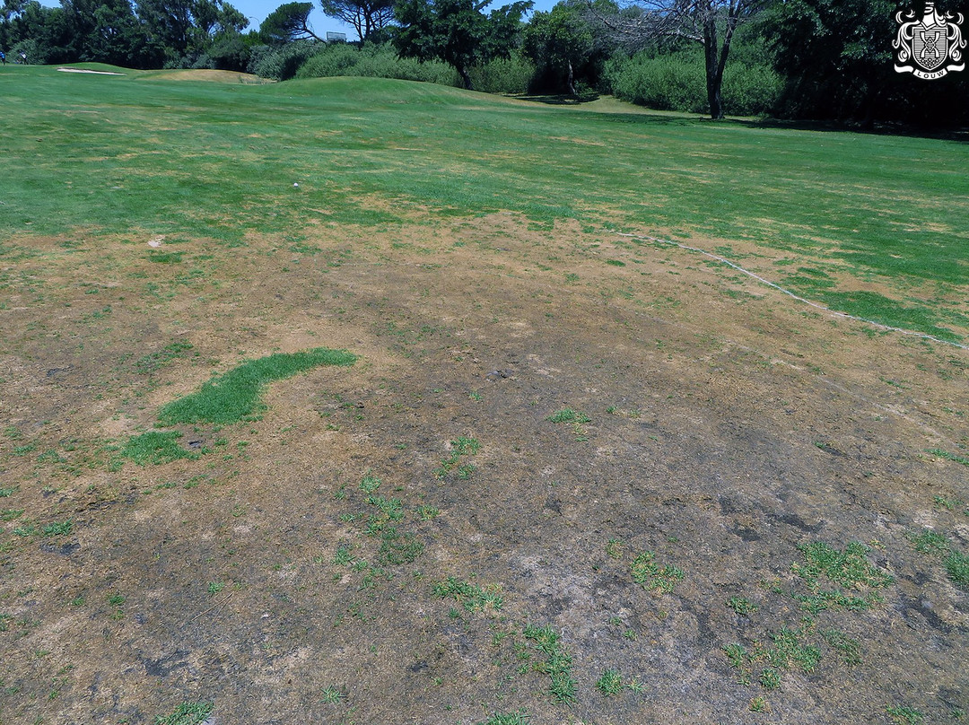 Mowbray Golf Club景点图片