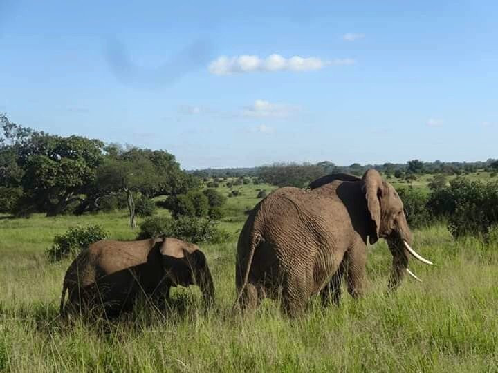 EpicTanzania Safaris-阿鲁沙必去景点