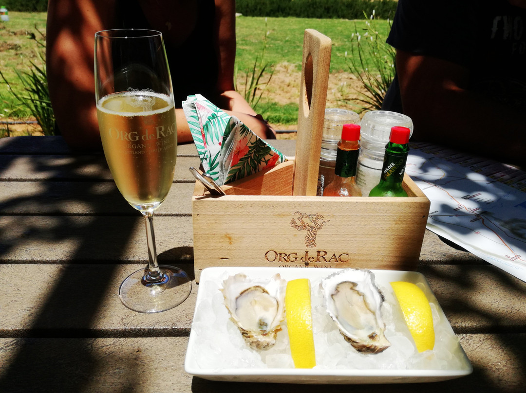 Org de Rac Organic Wine Estate-Piketberg必去景点