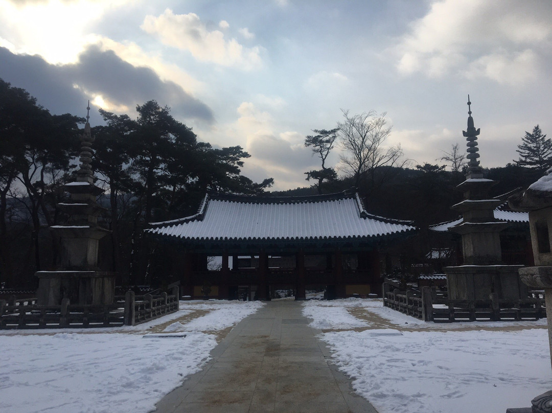Jikjisa Temple景点图片