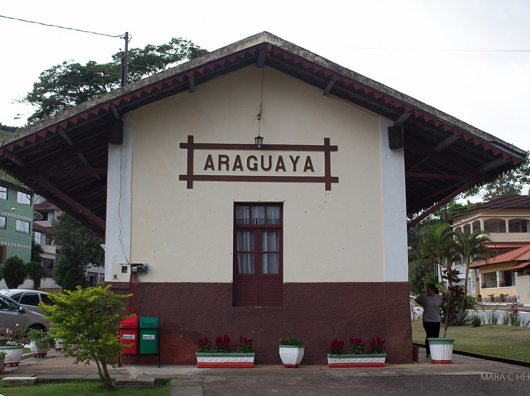 Estacao Ferroviaria Araguaya景点图片
