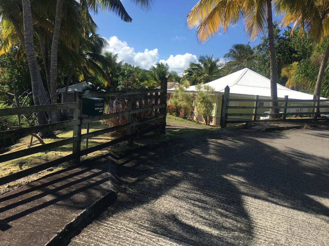 Alternative Zen-Le Francois必去景点